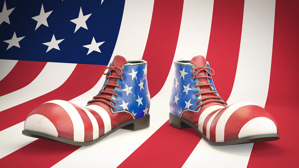 Analysis of the American Accountability Foundation