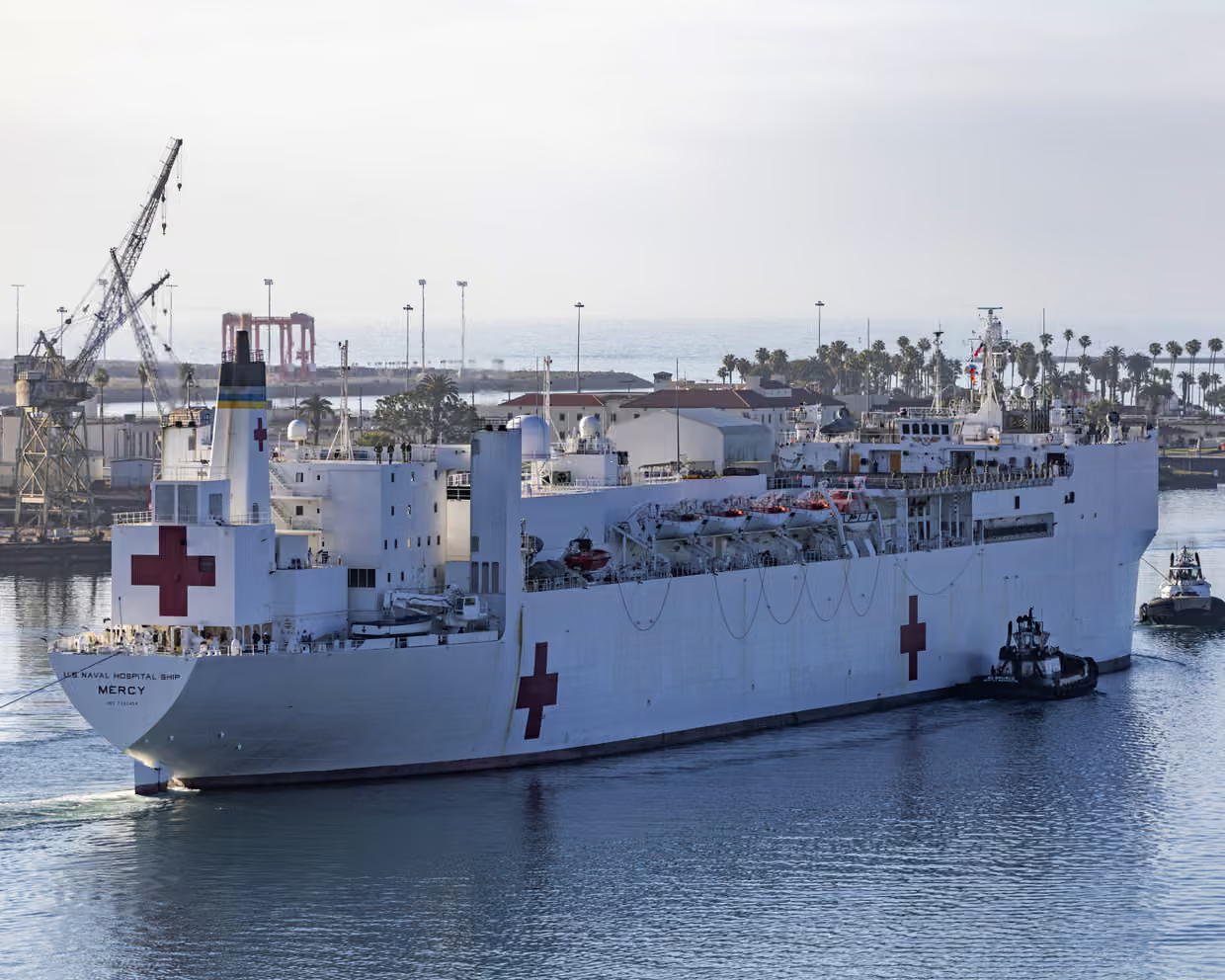 GREENLAND — CONFUSED BY U.S. NAVY DELIVERY OF NOTHING BUT MOTRIN, WATER, AND FRESH SOCKS