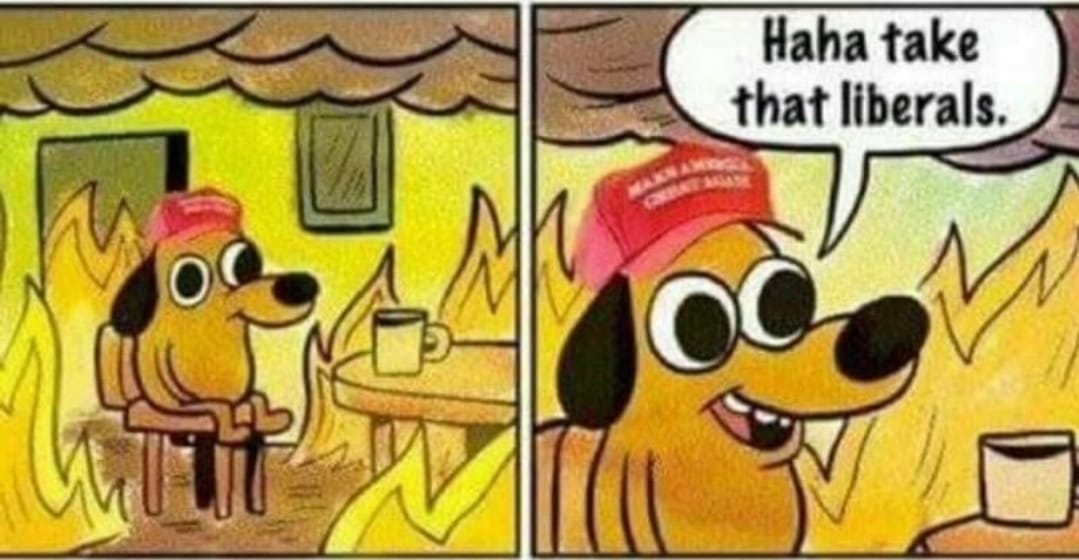 This sums up maga perfectly.