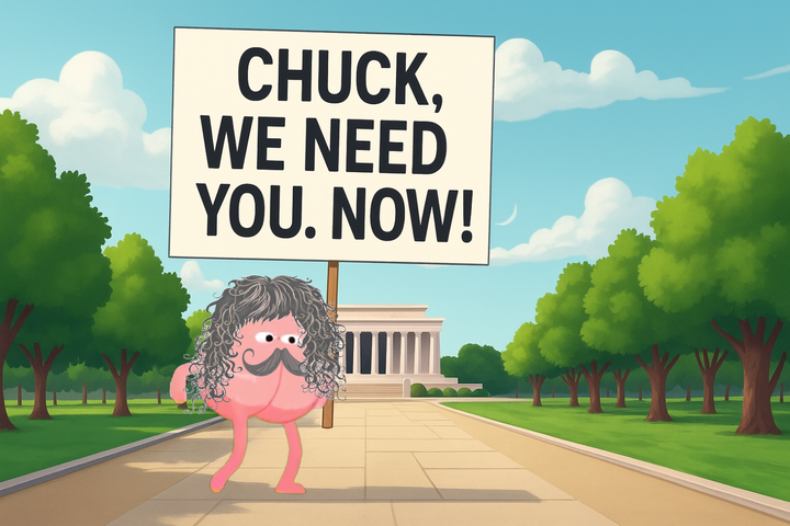 Where are Chuck Schumer's Balls?