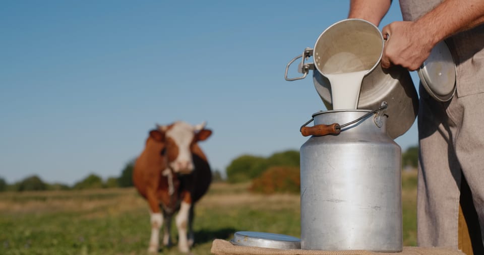 Milk: The Trump Admin's Creamy Handshake to White Nationalism?